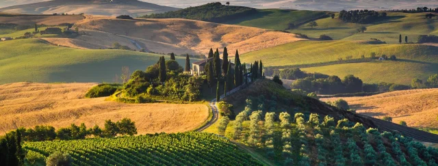 4 Of The Most Popular Wine Producing Regions In The World 