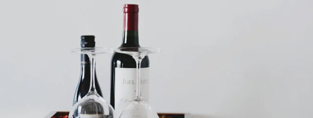 What Are Stand Alone Wine Fridges?