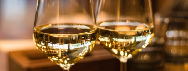 The Best 7 Bottle Wine Coolers 