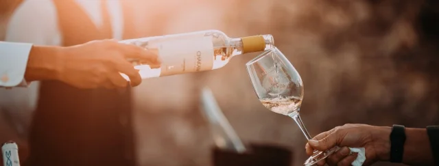 Why Get an Under Counter Wine Fridge? 