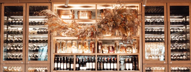 Best Wine Fridge for Large Wine Collections