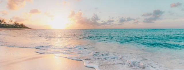 Why You Should Use a Wine Fridge in The Summer