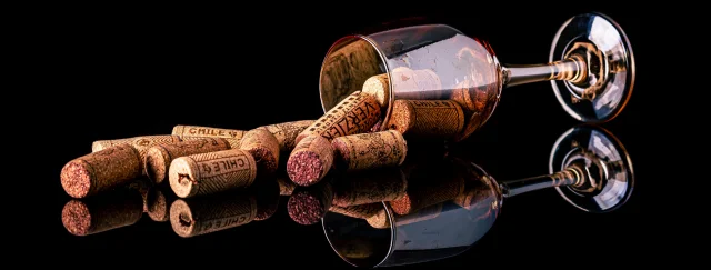 What Does A Dual Zone Wine Cooler Do?